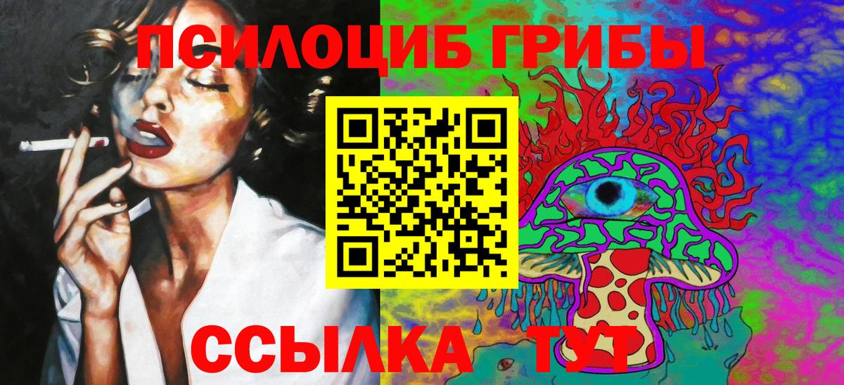 Галлюциногенные грибы Psilocybe Брянск